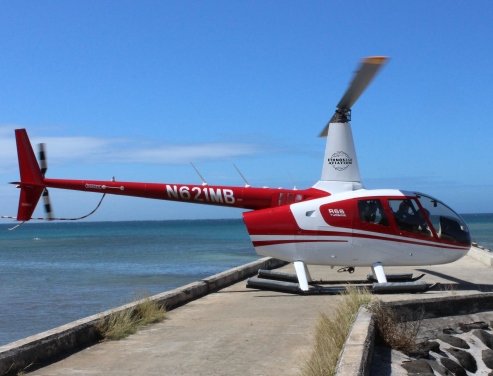 Robinson R66